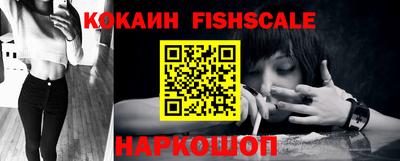 мет Камышлов