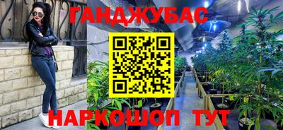 амф Кандалакша
