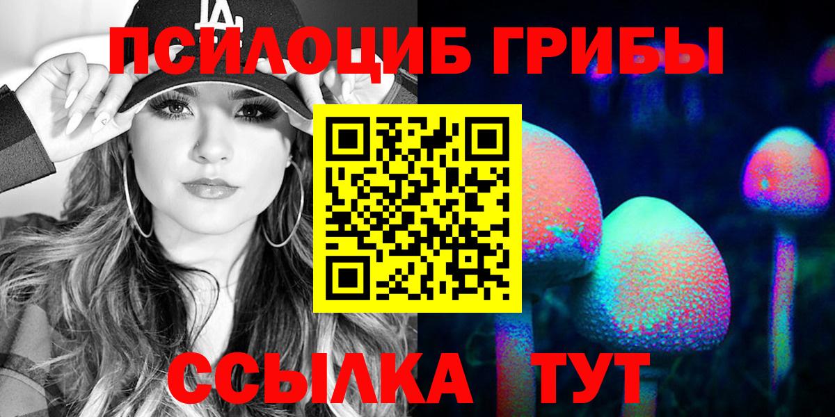 Псилоцибиновые грибы Cubensis Лесной