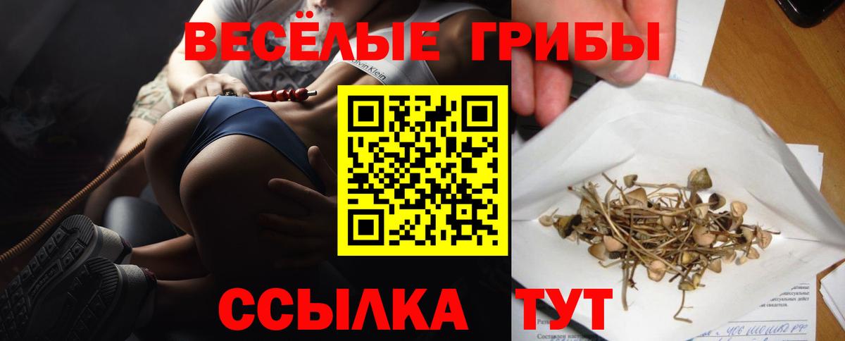 купить закладку  Вход с VPN  Лесной  Галлюциногенные грибы MAGIC MUSHROOMS 